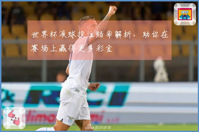 世界杯滚球投注赔率解析,助你在赛场上赢得更多彩金
