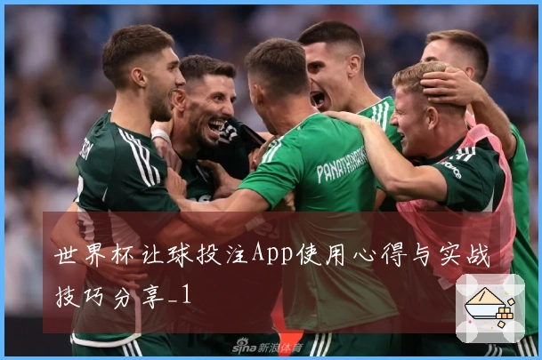 世界杯让球投注App使用心得与实战技巧分享_1
