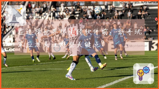 在选择世界杯竞猜软件前，新手玩家应该关注哪些关键点？