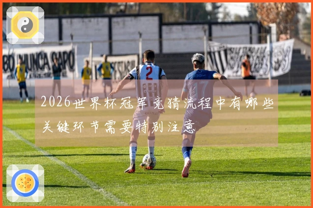 2026世界杯冠军竞猜流程中有哪些关键环节需要特别注意