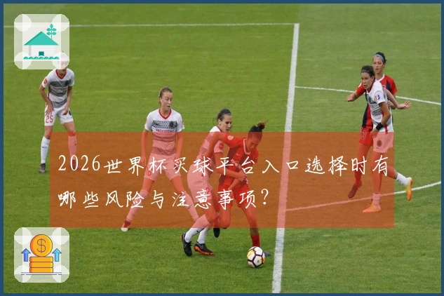 2026世界杯买球平台入口选择时有哪些风险与注意事项？