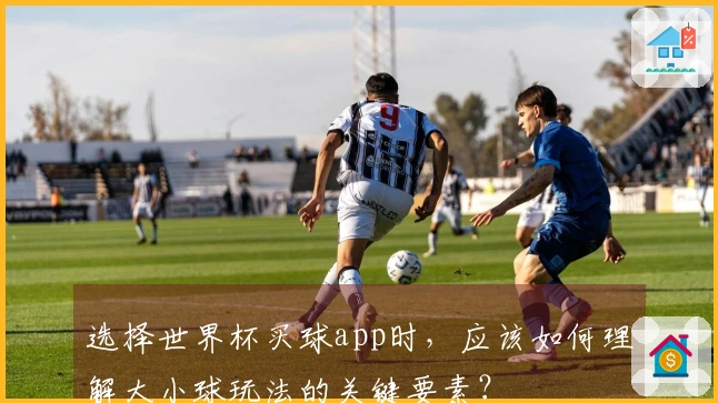 选择世界杯买球app时，应该如何理解大小球玩法的关键要素？