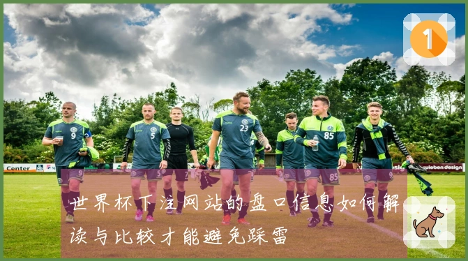 世界杯下注网站的盘口信息如何解读与比较才能避免踩雷