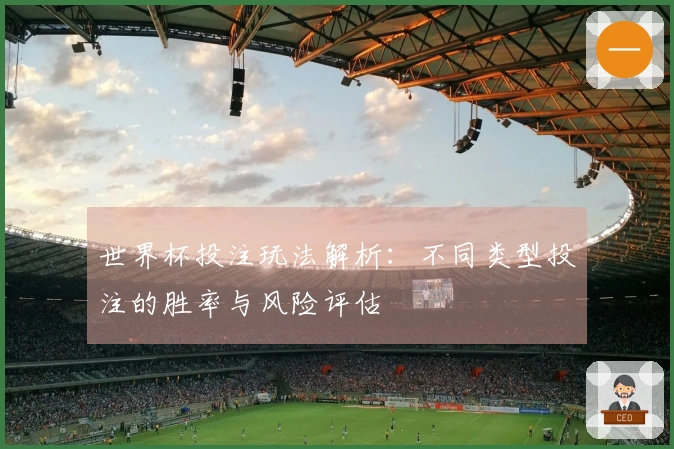 世界杯投注玩法解析：不同类型投注的胜率与风险评估