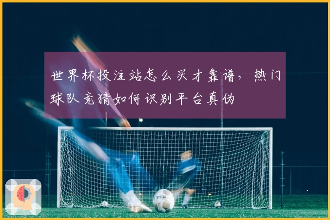 世界杯投注站怎么买才靠谱，热门球队竞猜如何识别平台真伪