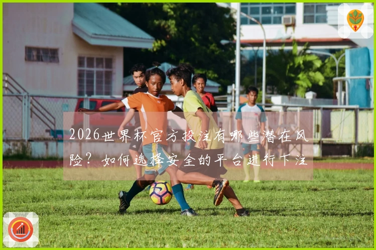 2026世界杯官方投注有哪些潜在风险？如何选择安全的平台进行下注？