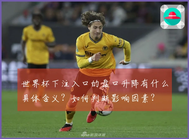 世界杯下注入口的盘口升降有什么具体含义？如何判断影响因素？