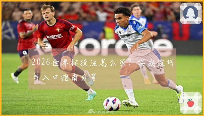 2026世界杯投注怎么买?实战技巧与入口指南分享