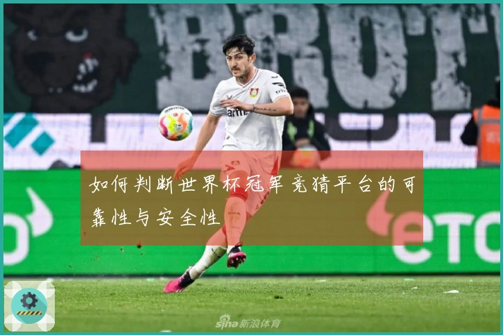 如何判断世界杯冠军竞猜平台的可靠性与安全性