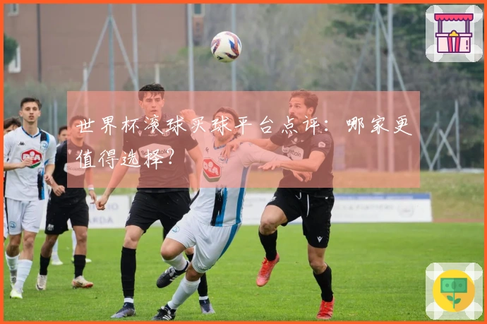 世界杯滚球买球平台点评：哪家更值得选择？
