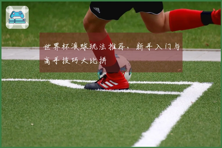 世界杯滚球玩法推荐，新手入门与高手技巧大比拼