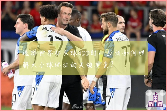 选择世界杯买球app时，应该如何理解大小球玩法的关键要素？