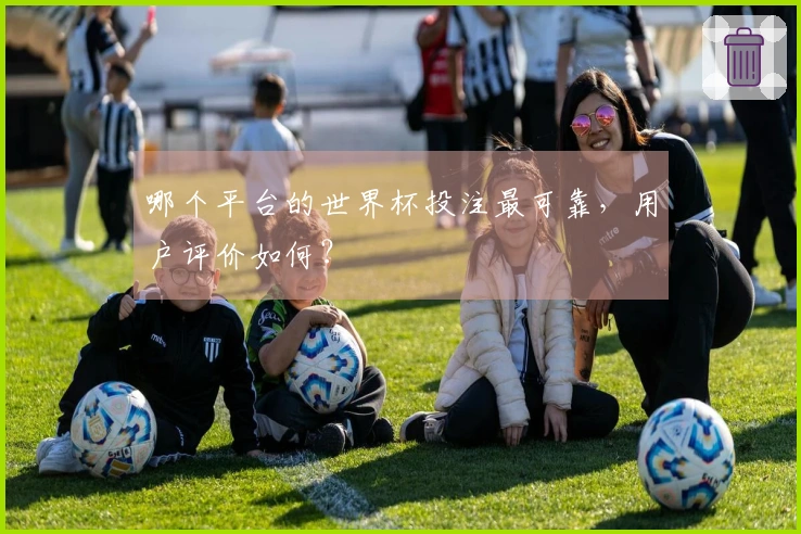 哪个平台的世界杯投注最可靠，用户评价如何？