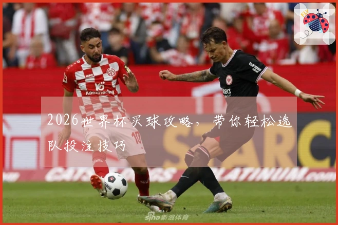2026世界杯买球攻略，带你轻松选队投注技巧