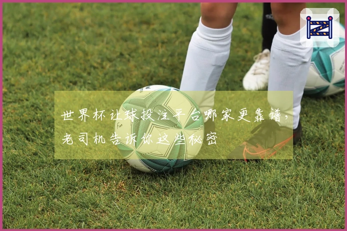 世界杯让球投注平台哪家更靠谱，老司机告诉你这些秘密