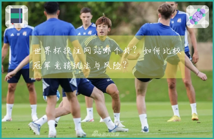 世界杯投注网站哪个好？如何比较冠军竞猜玩法与风险？
