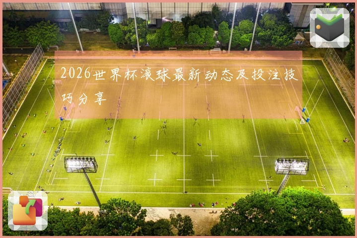 2026世界杯滚球最新动态及投注技巧分享