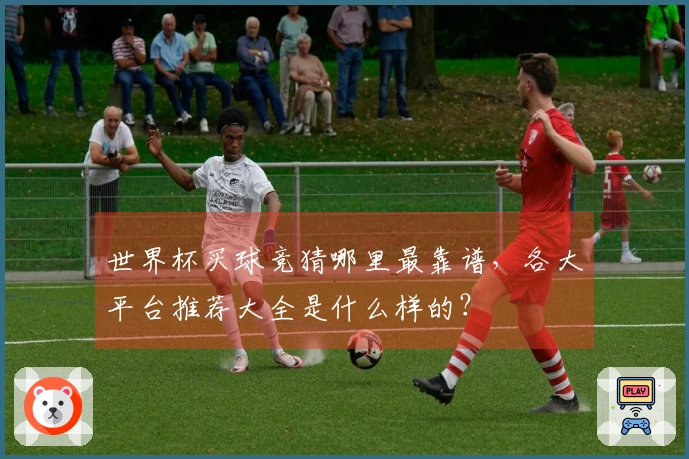 世界杯买球竞猜哪里最靠谱，各大平台推荐大全是什么样的？