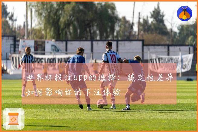 世界杯投注app的选择：稳定性差异如何影响你的下注体验