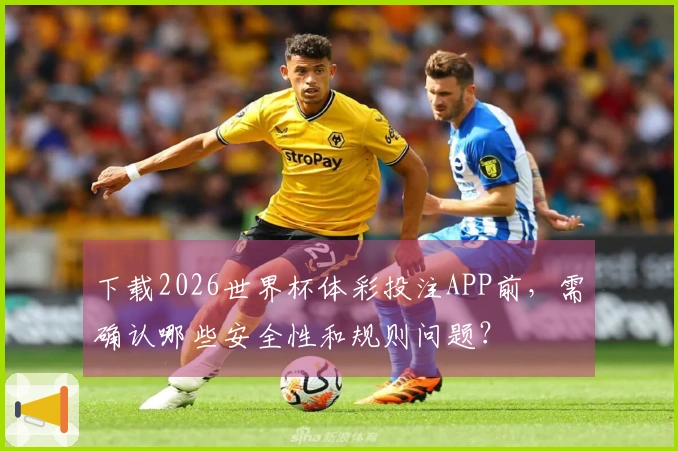 下载2026世界杯体彩投注APP前，需确认哪些安全性和规则问题？