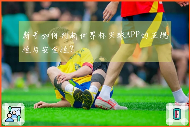 新手如何判断世界杯买球APP的正规性与安全性？