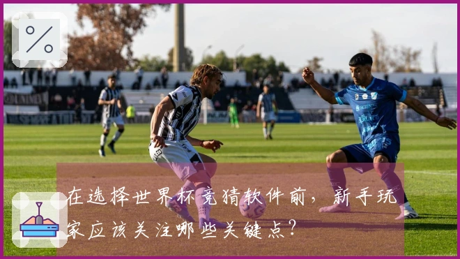 在选择世界杯竞猜软件前，新手玩家应该关注哪些关键点？