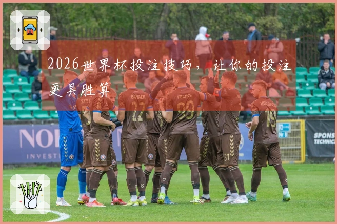 2026世界杯投注技巧，让你的投注更具胜算