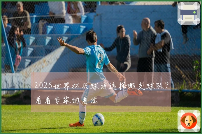 2026世界杯买球该选择哪支球队?看看专家的看法