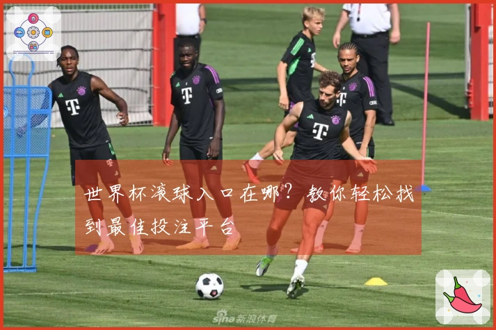 世界杯滚球入口在哪？教你轻松找到最佳投注平台
