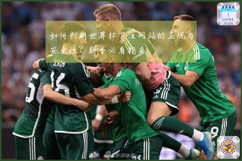 如何判断世界杯下注网站的正规与安全性？新手必看指南