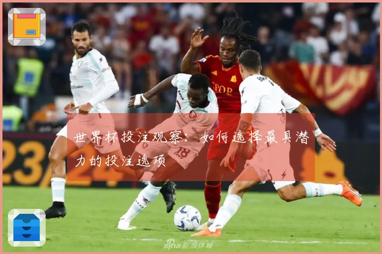 世界杯投注观察：如何选择最具潜力的投注选项