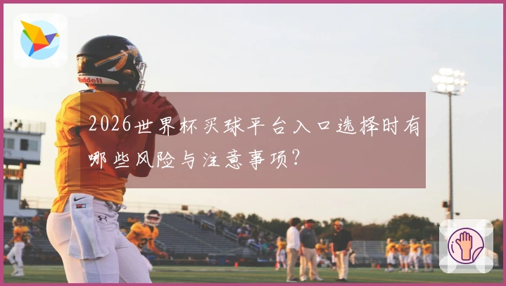 2026世界杯买球平台入口选择时有哪些风险与注意事项？