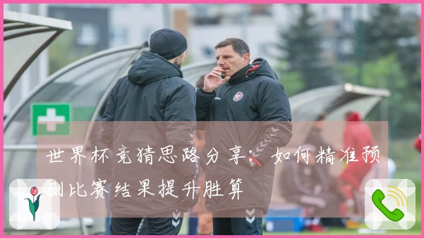 世界杯竞猜思路分享：如何精准预测比赛结果提升胜算