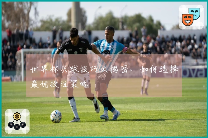 世界杯买球技巧大揭密，如何选择最优投注策略