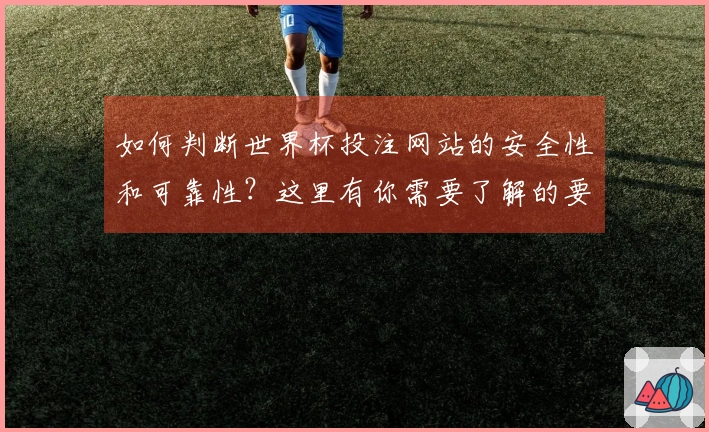 如何判断世界杯投注网站的安全性和可靠性？这里有你需要了解的要点