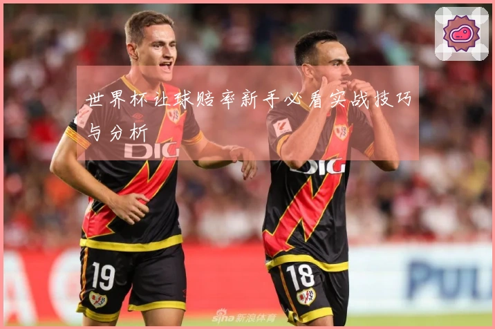 世界杯让球赔率新手必看实战技巧与分析