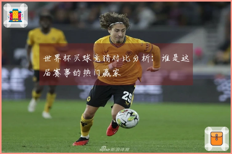世界杯买球竞猜对比分析：谁是这届赛事的热门赢家