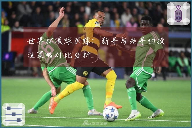 世界杯滚球买球：新手与老手的投注策略对比分析