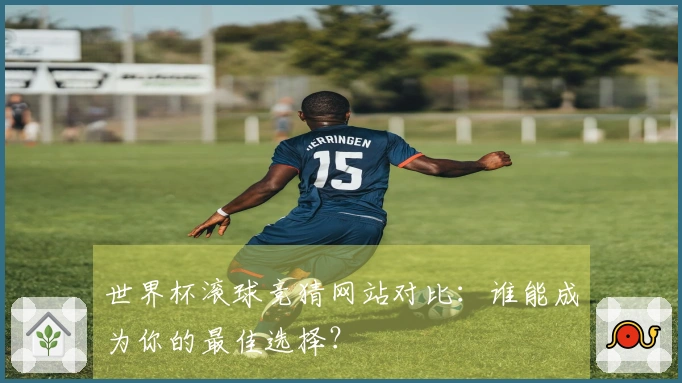 世界杯滚球竞猜网站对比：谁能成为你的最佳选择？