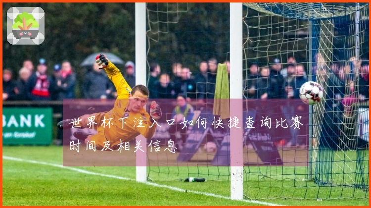 世界杯下注入口如何快捷查询比赛时间及相关信息