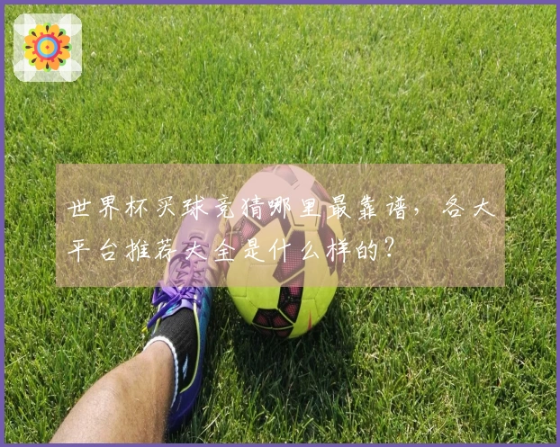 世界杯买球竞猜哪里最靠谱，各大平台推荐大全是什么样的？