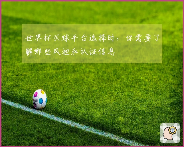 世界杯买球平台选择时，你需要了解哪些风控和认证信息